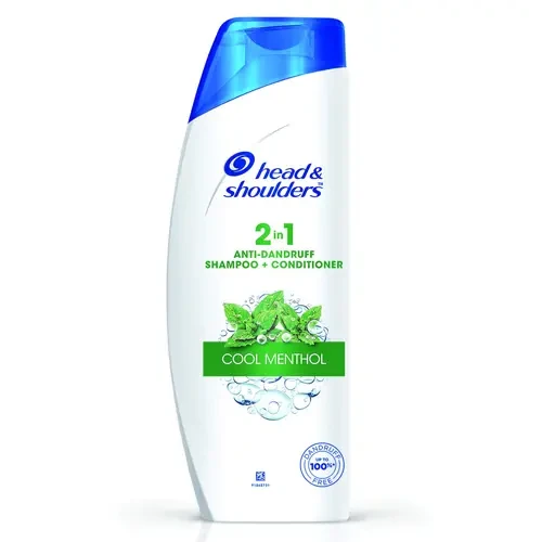 Head & Shoulders 2 In 1 Anti Dandruff Shampoo 340ml